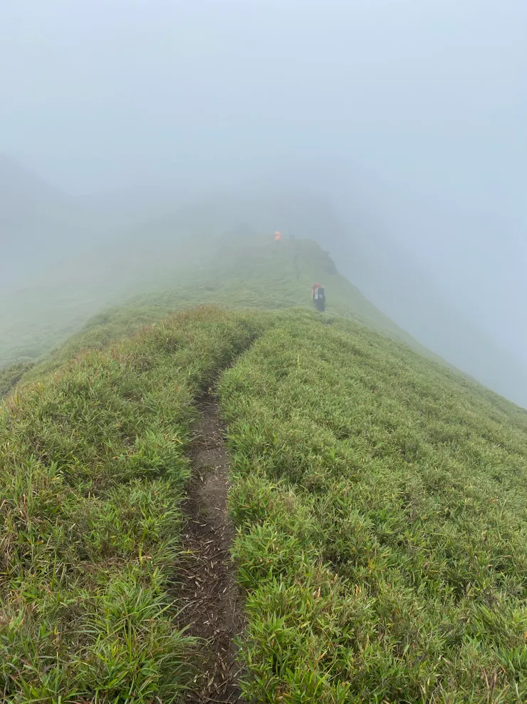 一路上都是箭竹林，有些與人齊高