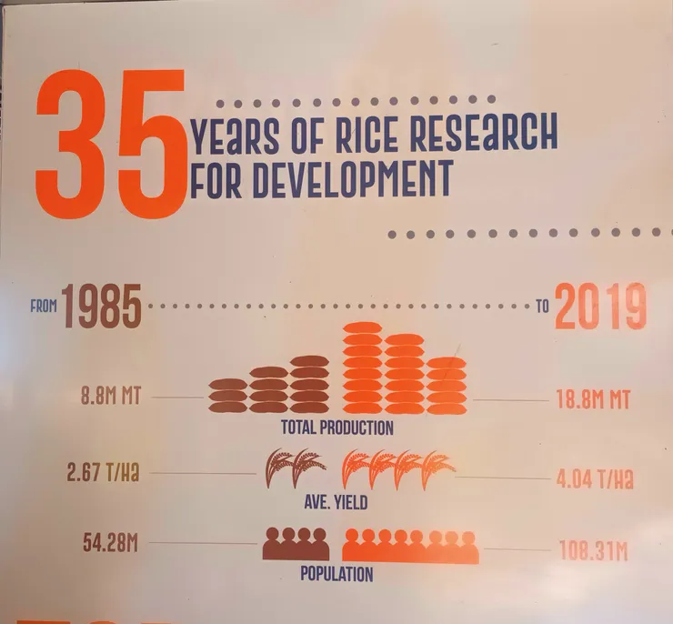 菲律賓水稻產量發展