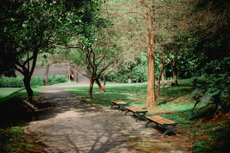 離開寶藏巖時發現附近挺漂亮的，很適合打瞌睡