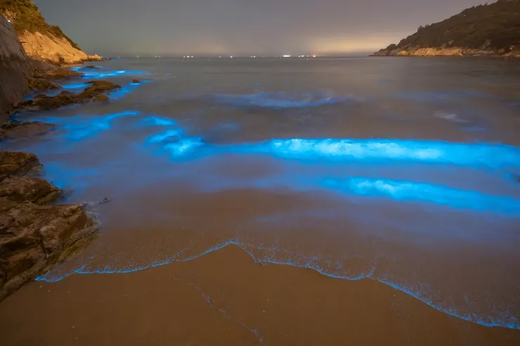 Source：Shutterstock