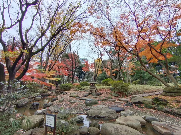 這幅景象，怎能不讓人著迷