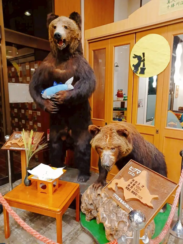 飯店旅館的熊，北海道的吉祥物，到處都是