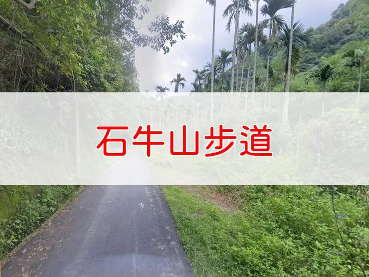 【桃園】小百岳-石牛山步道 | 全長：4公里 | 難度：低-中