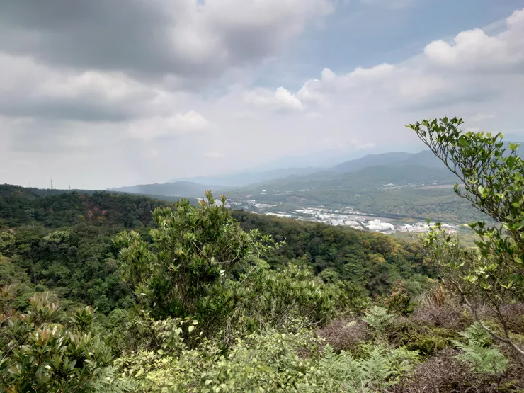 一位阿北站在一旁說從照片左邊的高壓電塔延伸到照片右邊的山脈，是知名賞桐登山路線三員縱走