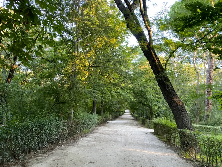 諾大不見底的公園一角