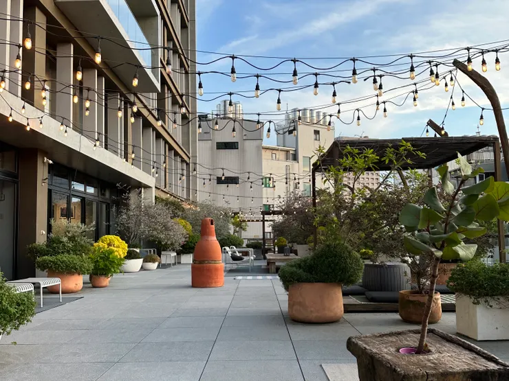 恣意露臺:不太炎熱的時候,躺在椅子上是一種享受!