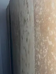 櫥櫃與牆面過於貼合牆面,造成發霉