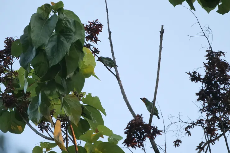 伸長脖子也很可愛