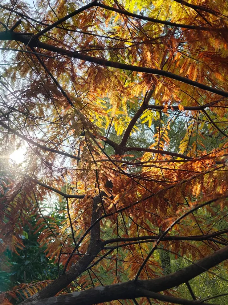 冬天的專屬顏色