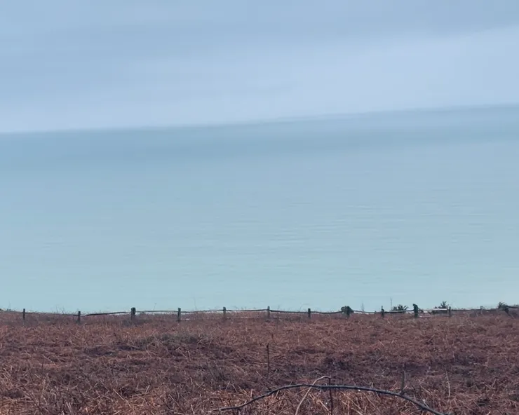 汪洋大海已和天空合為一體