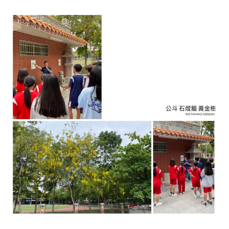 阿勃勒的盛開，讓古文物在五月的季節裡，特別耀眼✨