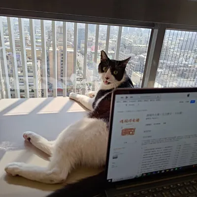 《週報時光機》PODCAST頻道總監亮相