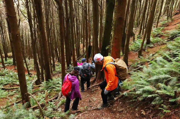 ▲下山就是一路陡下......