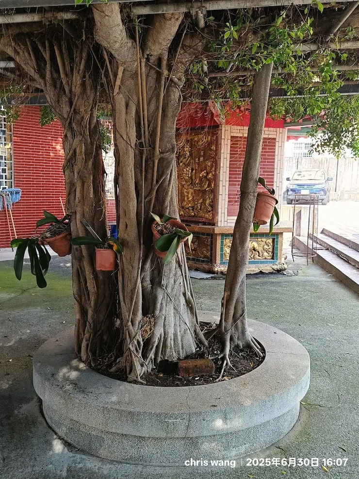 園區造景與金爐（圖片截圖於網路）