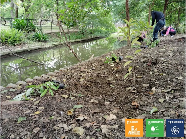依流道右岸陰濕的環境條件，交雜混植了「九節木」跟「水麻」這兩種適生的原生植種
