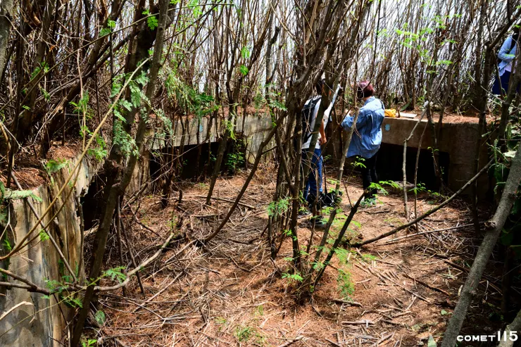 蛇頭山的三角點也是一處砲台遺址