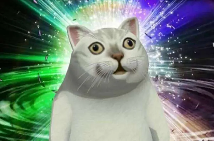 各種迷之行為的內在世界雖然可能有跡可循……