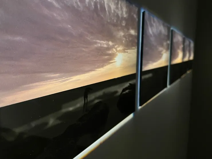 《什麼都沒發生》