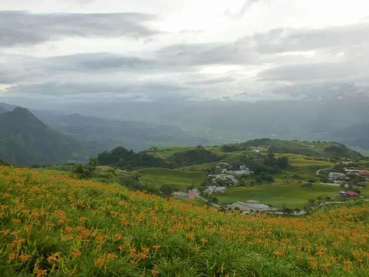 圖示：從開滿金針花的台灣花蓮富里六十石山，遠看花東縱谷平原。圖片來源為張居隱：https://www.shutterstock.com/zh/image-photo/2525412443