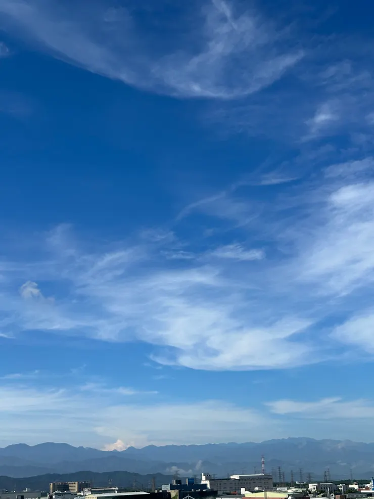 我後來搬到高樓層,疫情來的時候,我跟年幼的孩子就坐在樓梯上,看著外面的雲,飄過去,飛過來,他很喜歡靠在我身上,我們在這裡彼此渡過