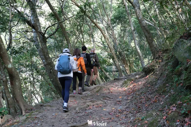 錐麓古道上山途中