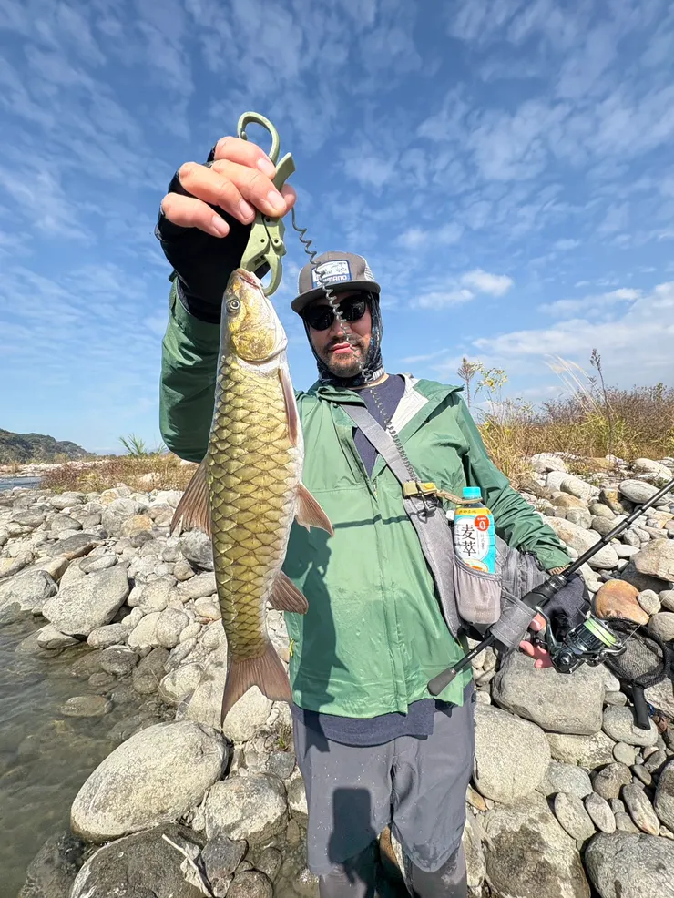 第二隻捲仔也有45+