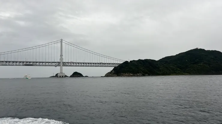 從另外一個視角欣賞橋。