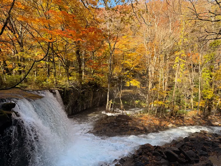 奧入瀨溪：銚子大瀑布