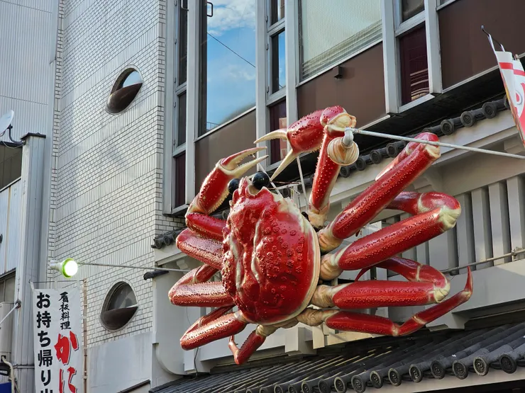 更清楚看到蟹道樂的螃蟹怎麼動