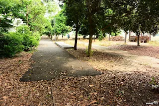 第三股被柏油路覆蓋-往大林方向拍&nbsp;