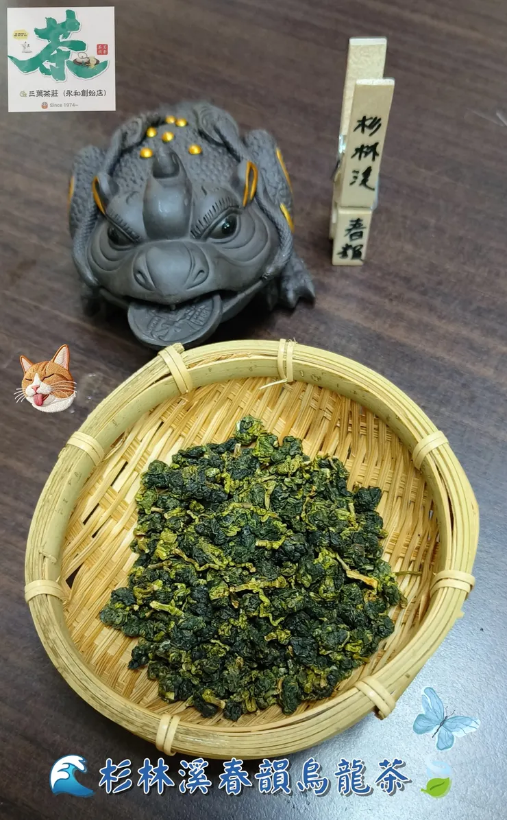 三葉茶莊(永和創始店)🍃杉林溪春韻烏龍茶