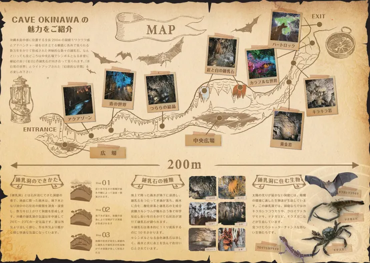 Cave Okinawa鐘乳石洞介紹文宣(照片引用CAVE OKINAWA Co., Ltd.官方網站)