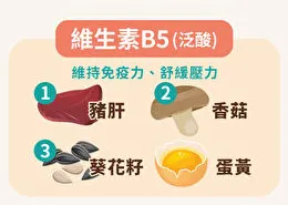 泛酸（B5）：激素合成的奇才(從這些食物可以攝取到!!!)