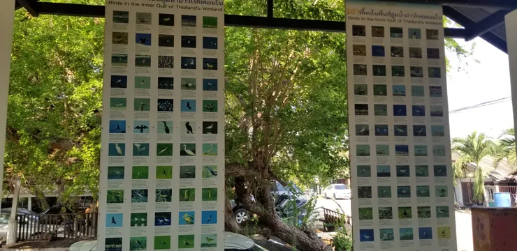 有展示板展示出現在泰海灣的鳥