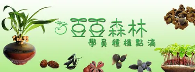 豆豆森林學員種植點滴粉絲專頁