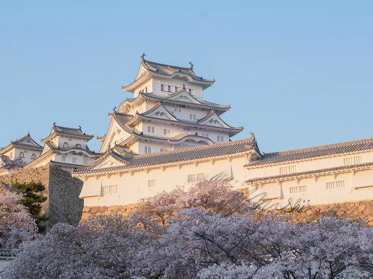 白鷺城(はくろじょう・しらさぎじょう)
