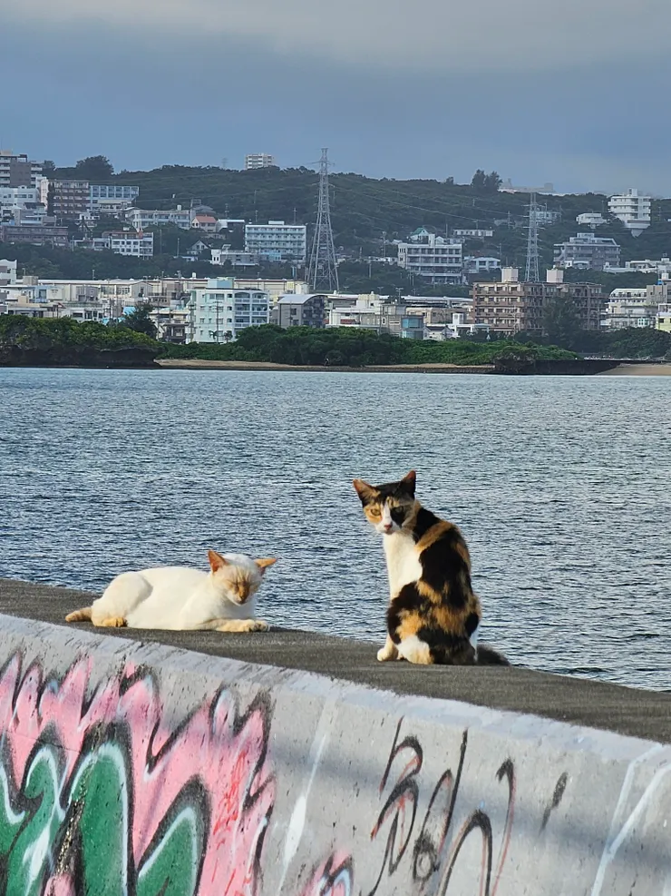 依依不捨的道別