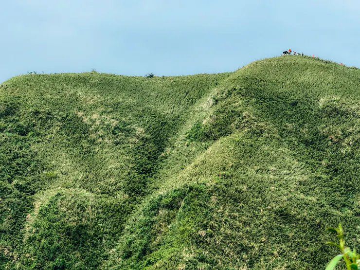 和印象中的一樣，往山頂的稜線很美～