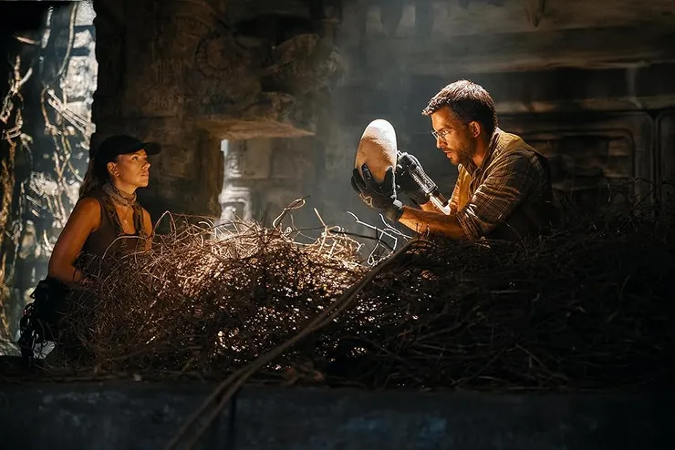 這片沒有黑寡婦怎麼辦