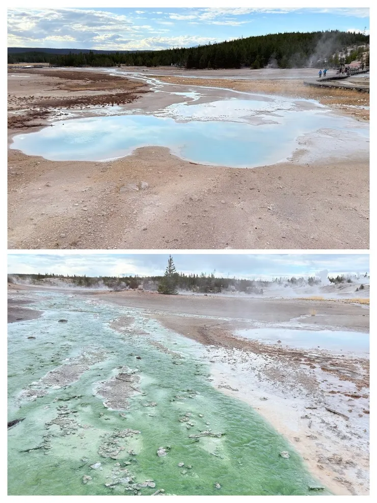 看多了地熱景觀有些疲乏