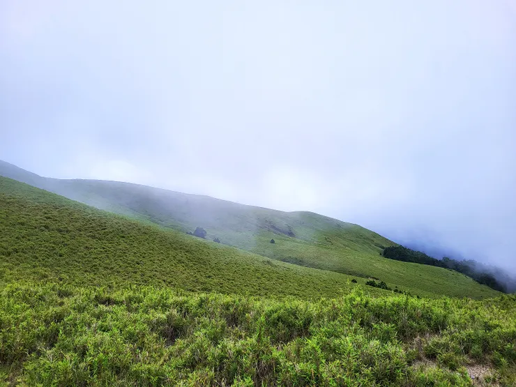 ▲白牆暫開時的大雪山草原