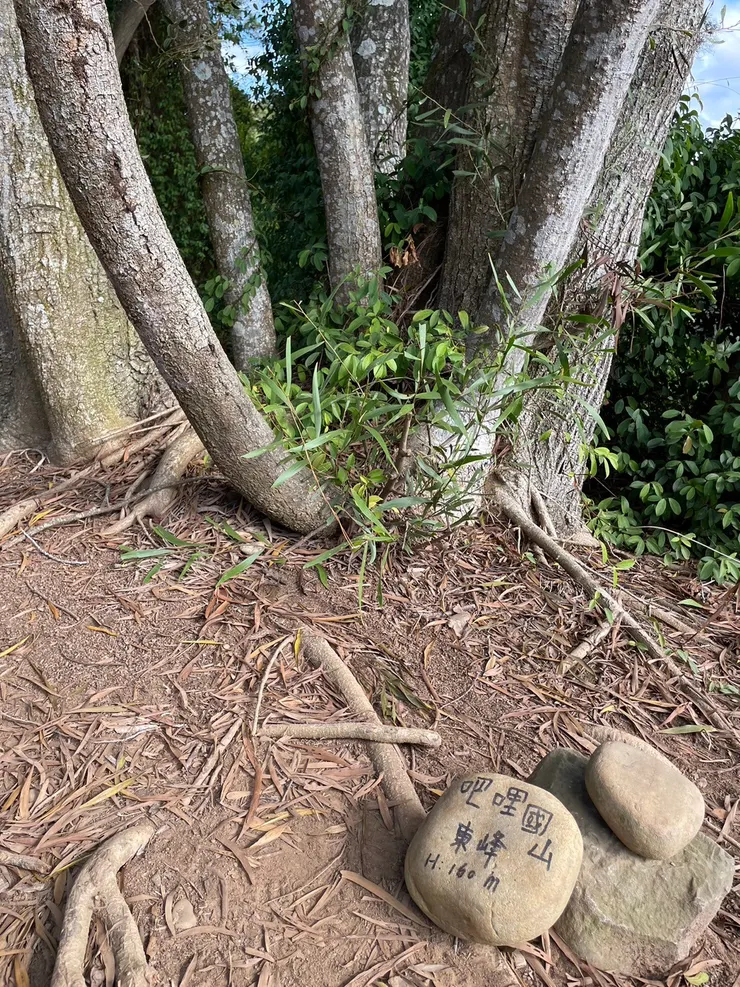 上次探路被遺落的吧哩嘓山東峰，補照一張
