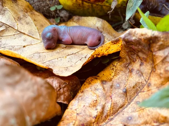 -空 ≌ 譜#43｜我和所有活力充沛的事物合一-