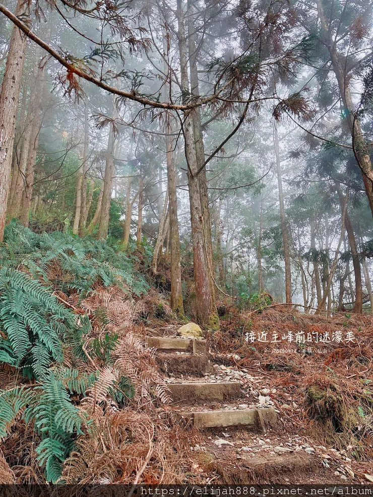 【谷關健行/住宿】谷關七雄老大。海拔2366公尺八仙山主峰。