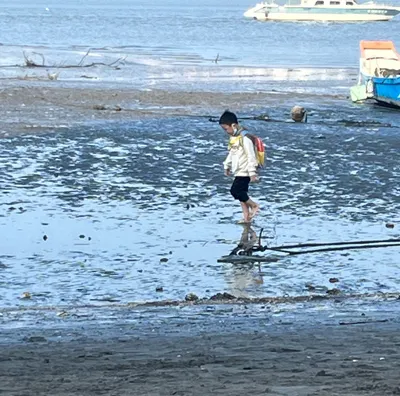 小一家長對分數的焦慮