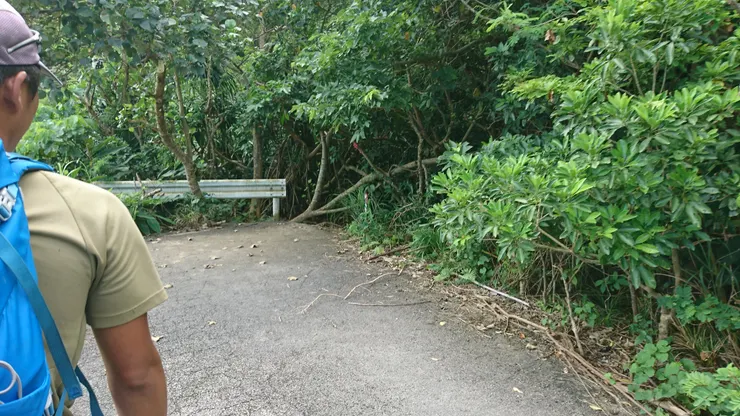 很難不懷疑這張照片裡真的有步道入口嗎?