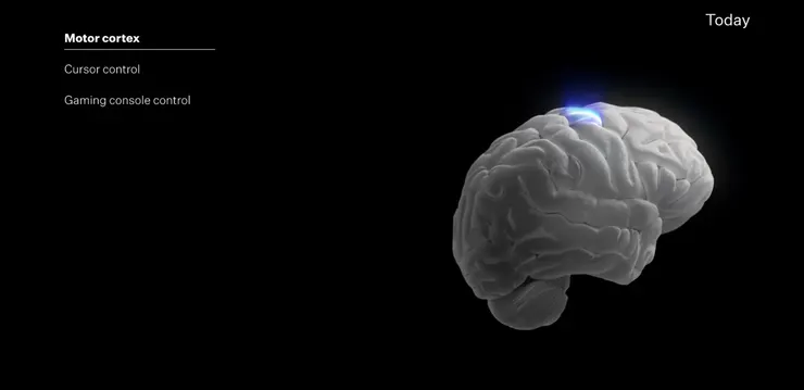 現在的進展：運動皮質層