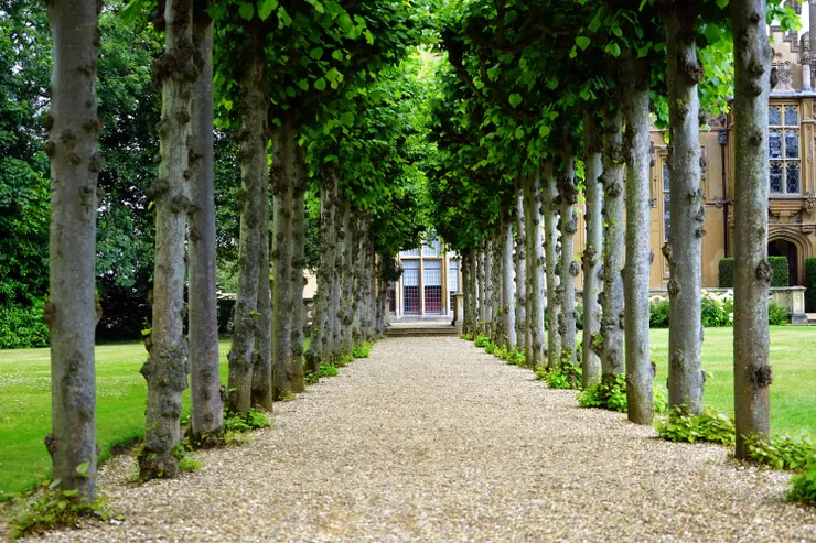 Photo by Mike Bird on Pexels. com
