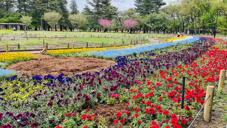面積在東京都內，可以排進前五。