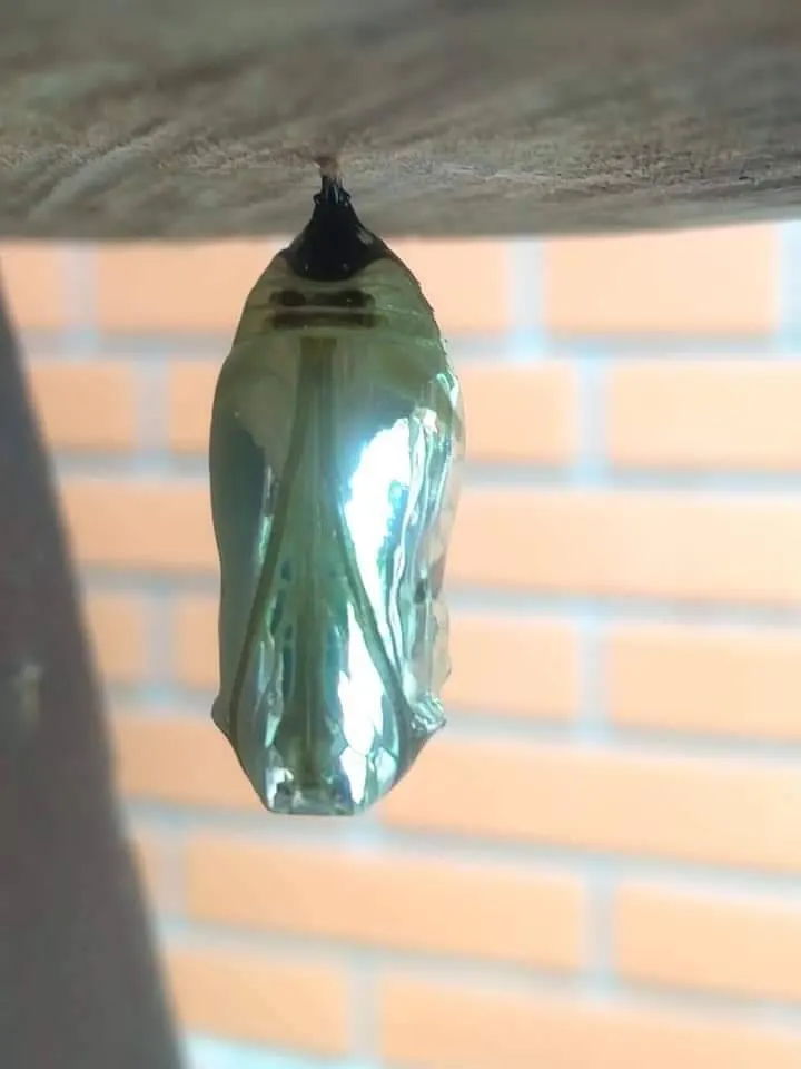 在不同位置的，周遭環境顏色不同，呈現出來就不一樣的顏色